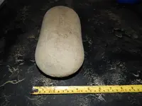 DSCN6030.webp