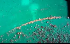 20170330_194705.webp