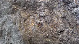 20170405_090014_HDR.webp