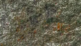 20170405_093054_HDR-2.webp