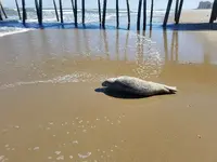 20170315_151855.webp