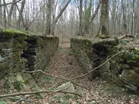 ImageUploadedByTreasureNet.com1490969613.272359.webp