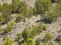 DSCN1268.webp