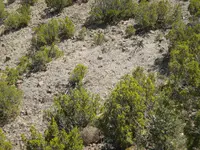 DSCN1270.webp