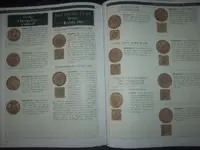 DSCI8895.webp