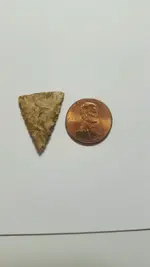 1 side of arrow head.webp