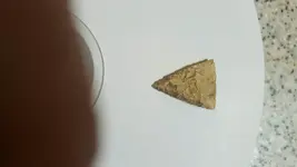 2 arrow head.webp