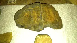 20170129_183941.webp