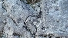 20170409_151413_HDR.webp