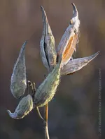 dsc_0038-processed-small.webp
