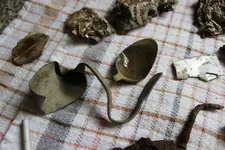 IMG_1409.webp IMG_1409.webp