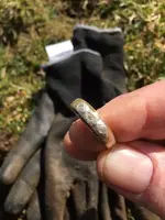 Golden ring 2.webp