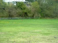 DSCF0004.webp DSCF0004.webp