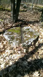 mill stone site.webp
