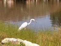 IMG_20170322_163153528.webp