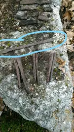 feathers at mill site_LI.webp