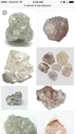 ImageUploadedByTreasureNet.com1490351726.608574.webp