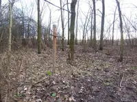 100_4713.webp