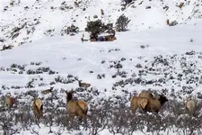 indexCAEXQE2N.webp
