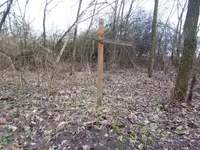 100_4714.webp
