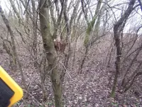 100_4715.webp
