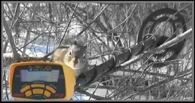 a squirrel smaller.webp