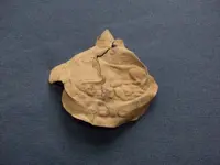 Powder Flask Number Two...webp