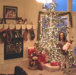 Christmas lights 012.webp