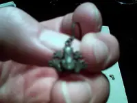 !cid__1217072141.webp