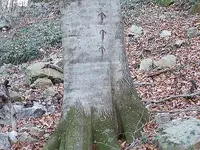 100_0490.webp