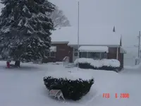 Front yard.webp