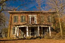 bloomfield.webp