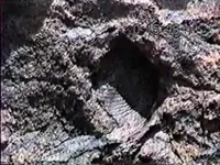 clamsmall_0001.webp