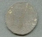 largecent-braided.webp