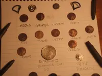 shrunk 9.webp