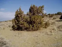 Feild trip 001.webp