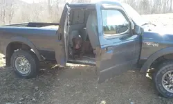 truck n' dog.webp