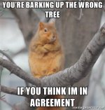 Barking Up The Wrong Tree.jpg