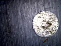 Image174.webp