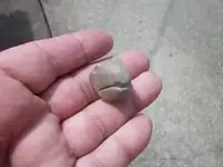 17041d1277854244-found-another-pipe-today-pipes13.webp