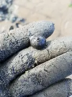 20170228_153503.webp 20170228_153503.webp