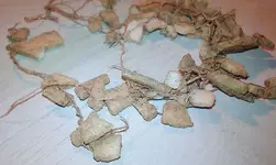 unnamed (13)rrr.webp