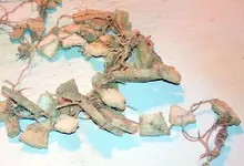 unnamed;l.webp