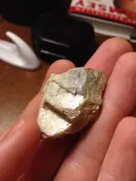 ImageUploadedByTreasureNet.com1493870667.799168.webp