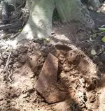 20170326_124102-1.webp