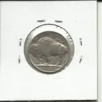 buffalo1.webp