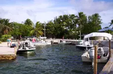 000_5791.webp 000_5791.webp