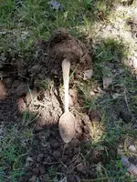 20170511_113111.webp