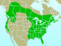 220px-Pileated_Woodpecker-rangemap.gif