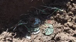 coin spill.webp